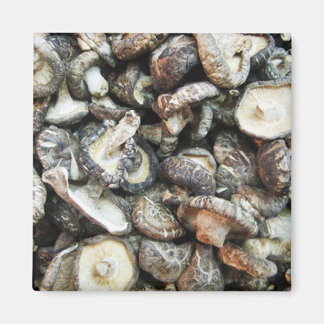 Imã Shiitake Mushroom (Frente)