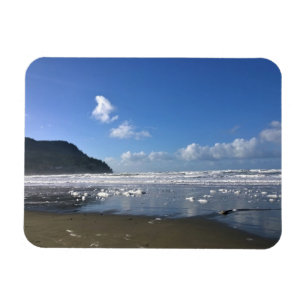 Ímã Shore marinha no inverno, Costa do Oregon