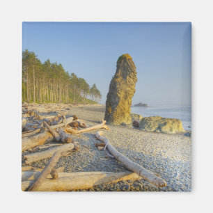 Imã Shoreline e Seastacks, Ruby Beach, Olimpiadas