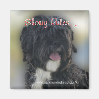Shorty Lhasa Apso-Shih Tzu Magnet-personalize
