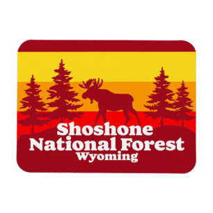 Ímã Shoshone National Forest Wyoming
