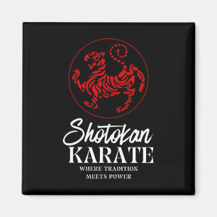 Imã Shotokan Karate Onde A Tradição Conhece O Poder