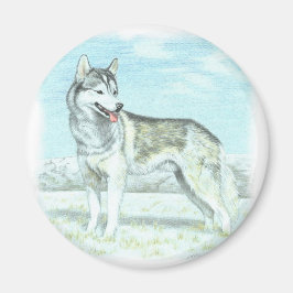 Imã Siberian Husky