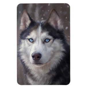 Ímã Siberian Husky