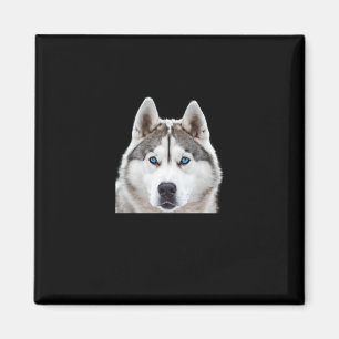 Imã Siberian Husky Prova Desse Tamanho S Sticker
