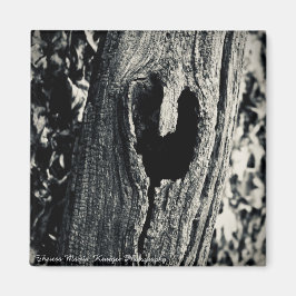 Imã "Siga seu coração"