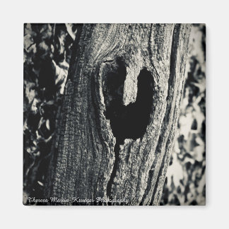 Imã "Siga seu coração"