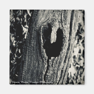 Imã "Siga seu coração" Magnet