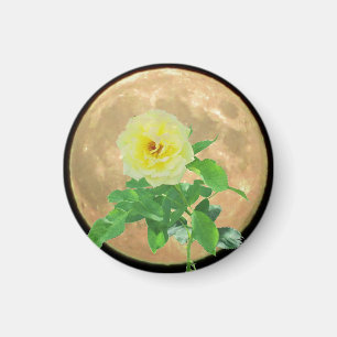 Imã Silhueta da flor da Lua cheia e do rosa amarelo