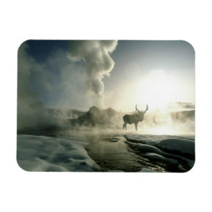 Ímã Silhueta do nascer do sol do alce no Castle Geyser
