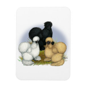Ímã Silkie Trio