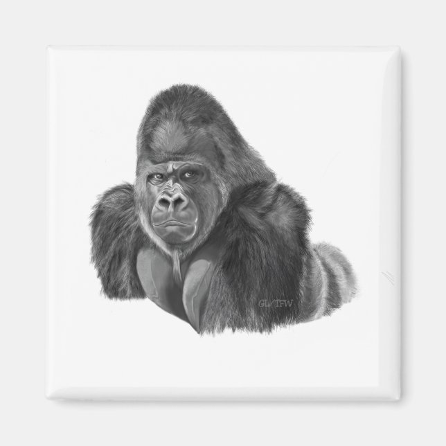 Imã Silverback Gorilla Magnet ゴリラのマグネット (Frente)