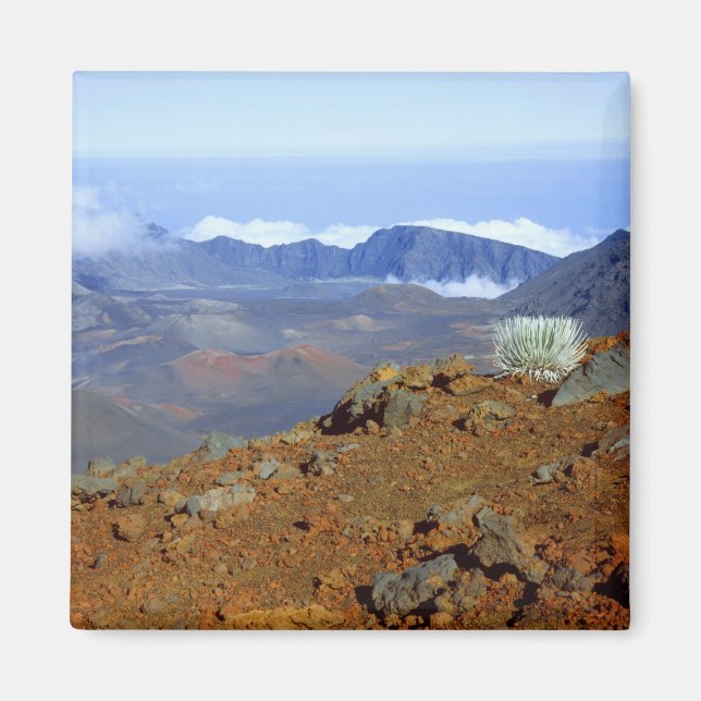 Imã Silversword no cume da cratera Haleakala a partir  (Frente)