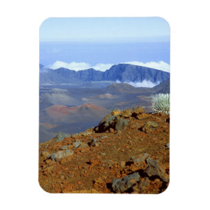 Ímã Silversword no cume da cratera Haleakala a partir