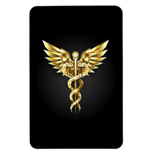 Ímã Símbolo Caduceu Poligonal Dourado