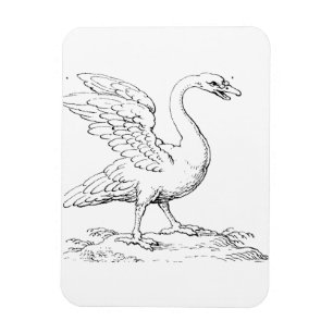 Ímã Símbolo de Cisne de Amor e Fidelidade Arte Refinad