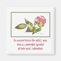 Imã Símbolo de flor de cor rosa rosa, selvagem