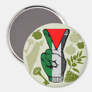 Imã Símbolo do Triângulo Vermelho da Resistência do Si