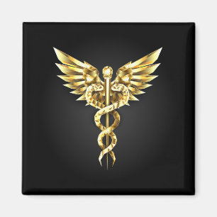Imã Símbolo Poligonal Dourado Caduceus