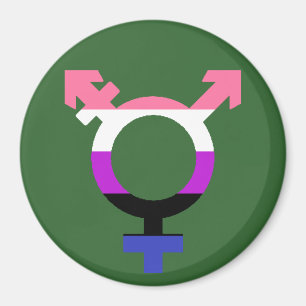 Imã Símbolo Trans Bandeira Genderfluid