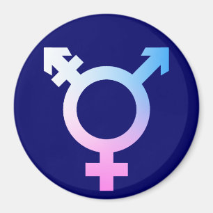 Imã Símbolo Trans* rosa/azul/branco
