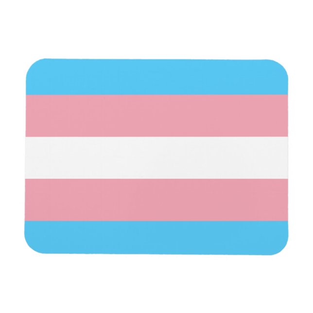 Ímã Símbolo transgênero trans prido LGBT gay homos (Horizontal)