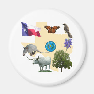Imã Símbolos de estado de Texas