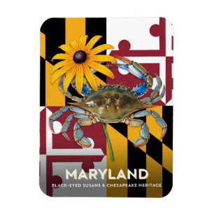 Ímã Símbolos de Maryland Black Eyed Susan e Caranguejo