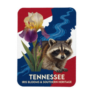 Ímã Símbolos do Estado de Tennessee Iris e Guaxinim