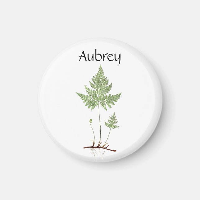 Imã Simples Fern, (Frente)