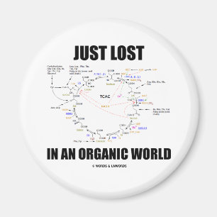 Imã Simplesmente Perdido Num Mundo Orgânico (Humor C