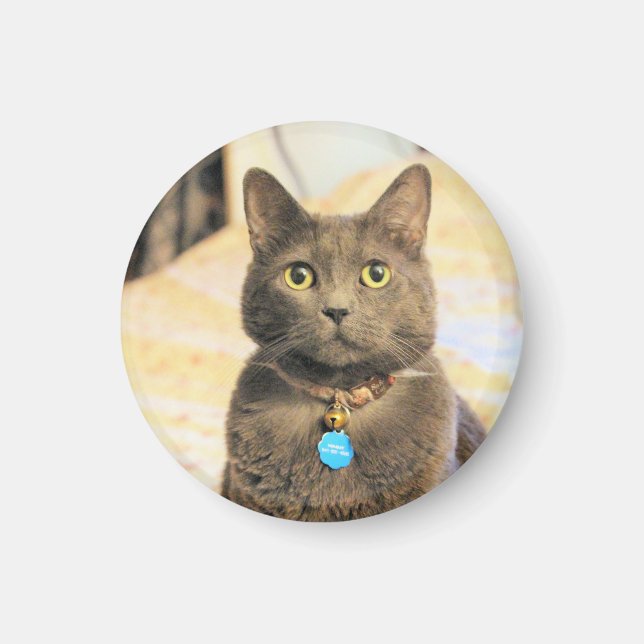 Imã Sinais (Frente)