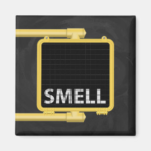 Imã Sinal Crosswalk de Nova Iorque