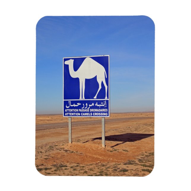 Ímã Sinal de Camelos, Tunísia (Vertical)