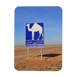 Ímã Sinal de Camels, Tunísia