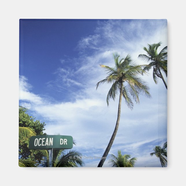Imã Sinal de estrada da Ocean Drive, South Beach, Miam (Frente)
