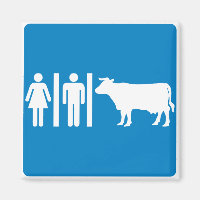 Sinal de Estrada Humorosa - VACAS?