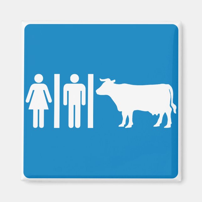 Imã Sinal de Estrada Humorosa - VACAS? (Frente)