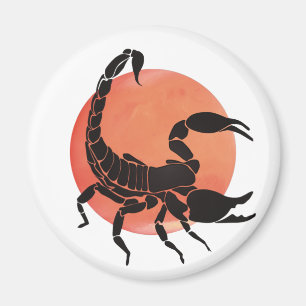 Imã Sinal Scorpio Zodiac