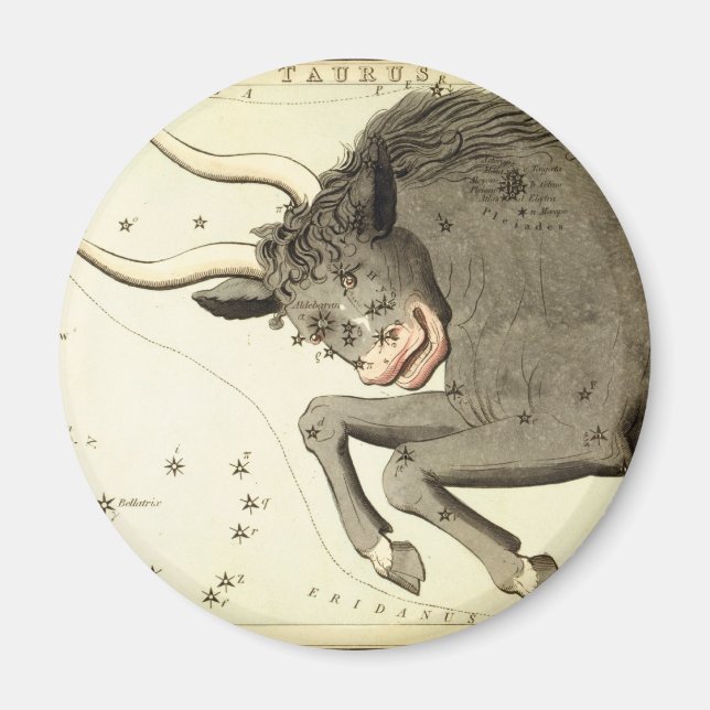 Imã Sinal Zodíaco: magnetas Taurus (Frente)