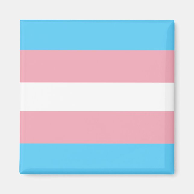 Imã Sinalizador de Prioridade Trans (Frente)