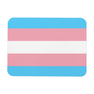 Ímã Sinalizador do Orgulho Transgênero - Arco-Íris LGB