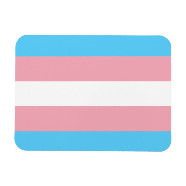 Ímã Sinalizador do Orgulho Transgênero - Arco-Íris LGB (Horizontal)