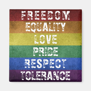 Imã Sinalizador LGBT Orgulho Moderno do Arco-Íris