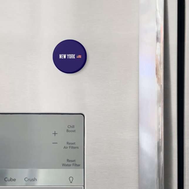Imã Sinalizador Nova Iorque/EUA (In Situ (Fridge))