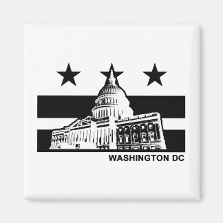 Imã Sinalizador Washington DC