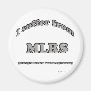 Imã Síndrome de Labrador Retriever - Magnet