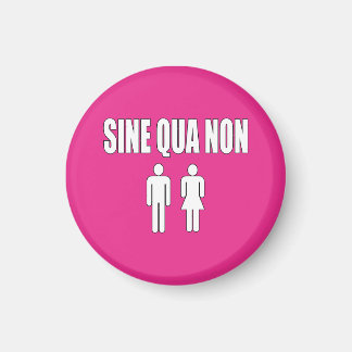 Imã Sine Qua Non Romanic - Dia de os namorados de cita