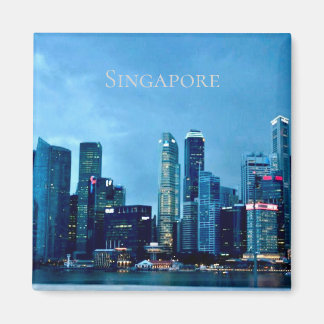 Imã Singapore Magnet 
