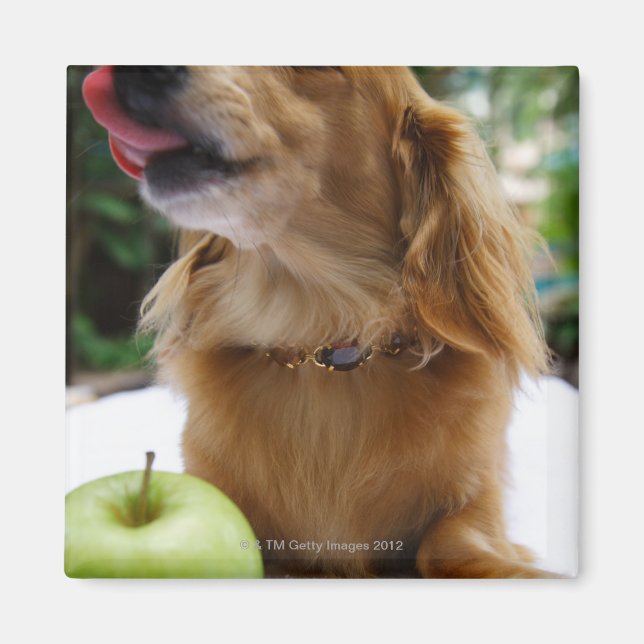 Imã Singapura 5 (Frente)